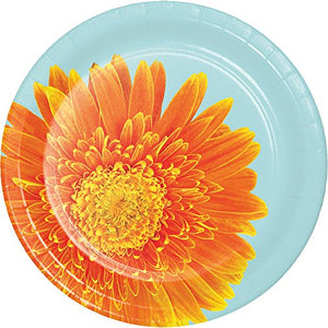 Creative Converting Paper Dinner Plates, 9", Multicolor